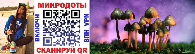Псилоцибиновые грибы GOLDEN TEACHER  хочу наркоту  Ленинградская 